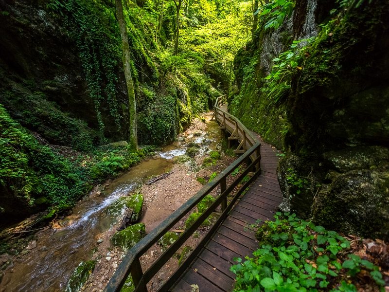 johannesbachklamm-wuerflach-12(c)wieneralpen-kremsl