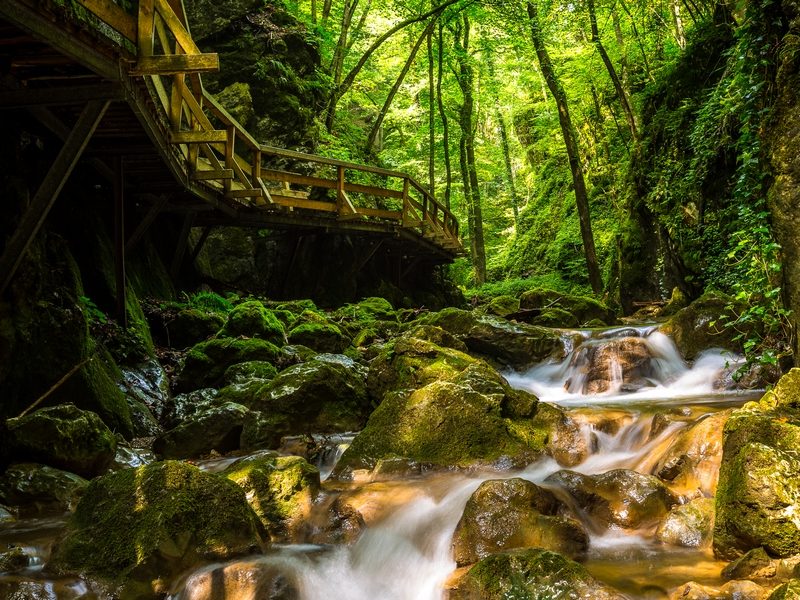 johannesbachklamm-wuerflach-3(c)wieneralpen-kremsl